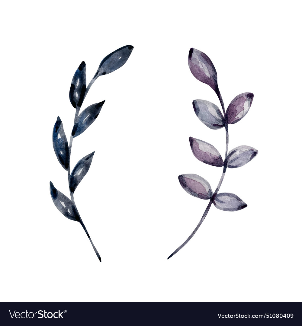 Watercolor boho leaves set Royalty Free Vector Image