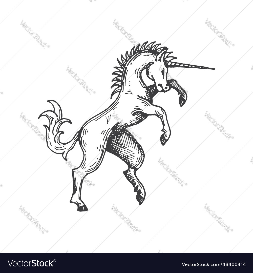 Unicorn medieval heraldic animal sketch symbol Vector Image