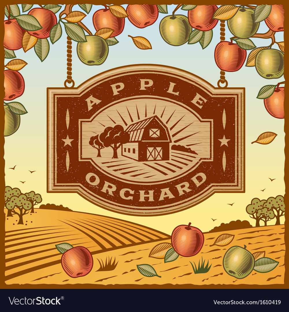 Apple Orchard Royalty Free Vector Image - VectorStock