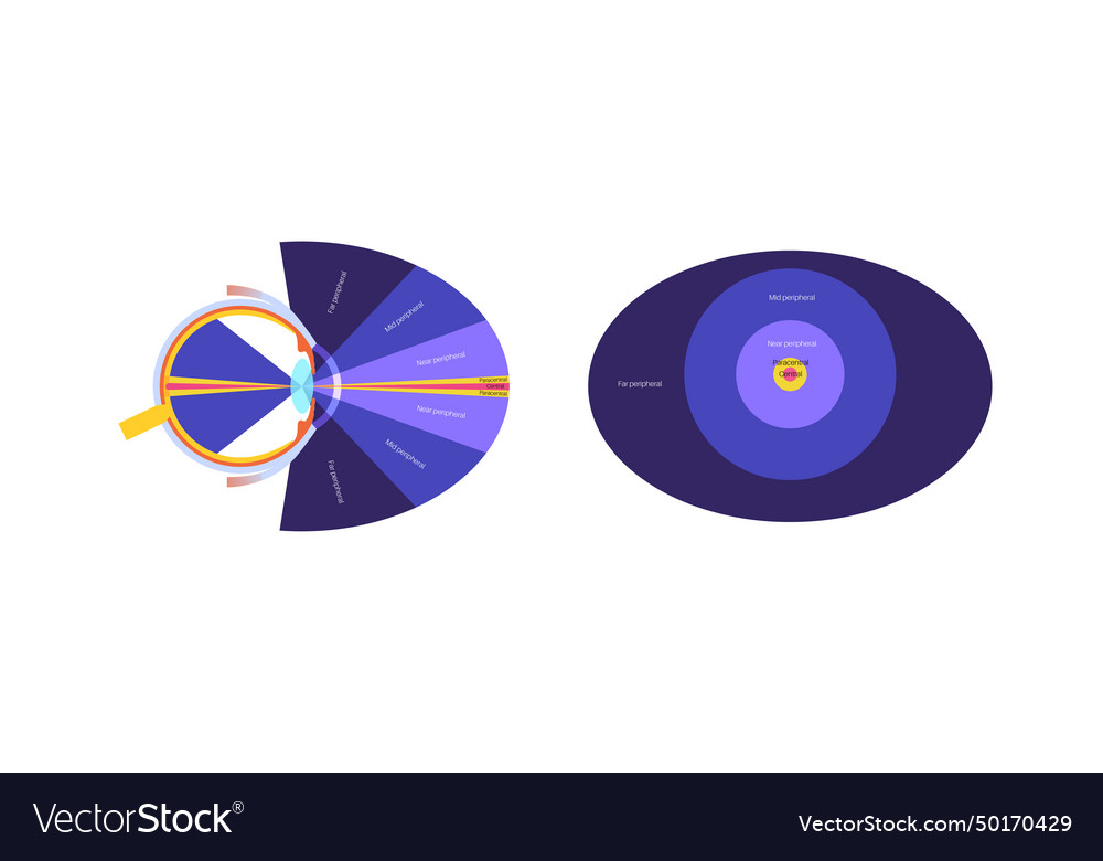 Peripheral vision poster Royalty Free Vector Image