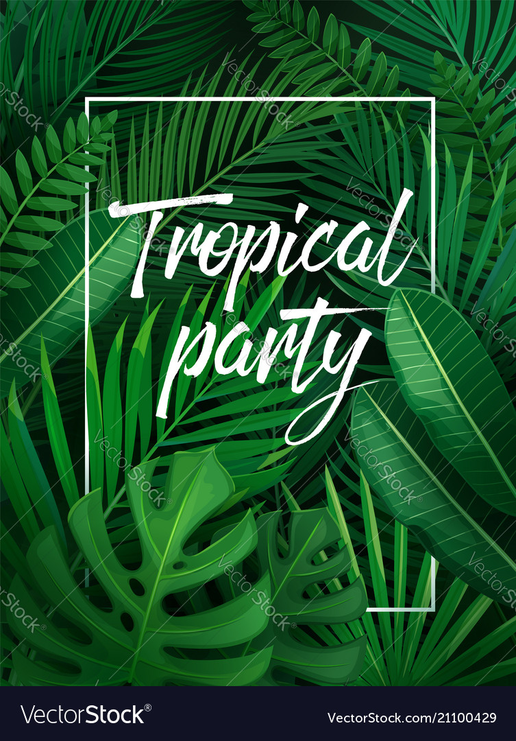 Tropical party Royalty Free Vector Image - VectorStock