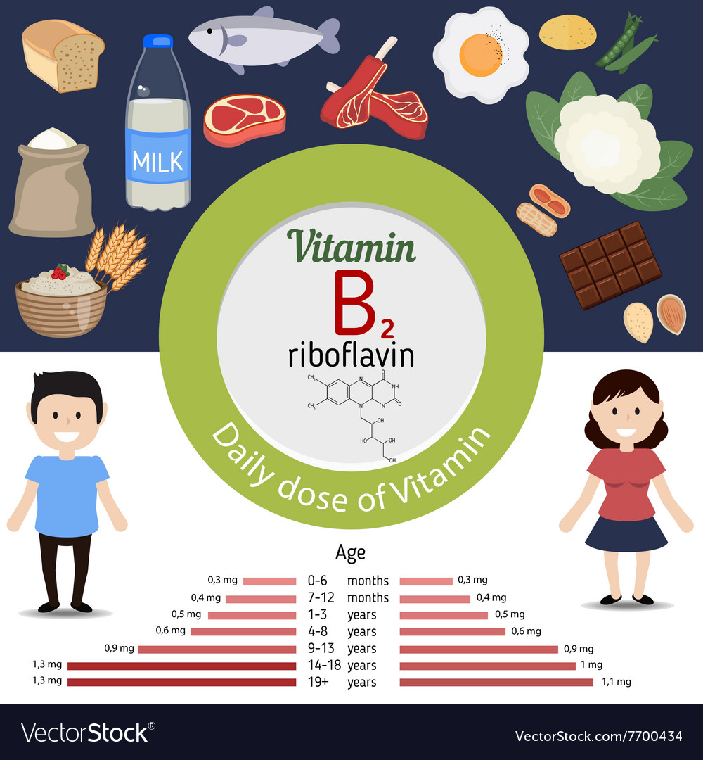 Vitamin b2 or riboflavin infographic Royalty Free Vector