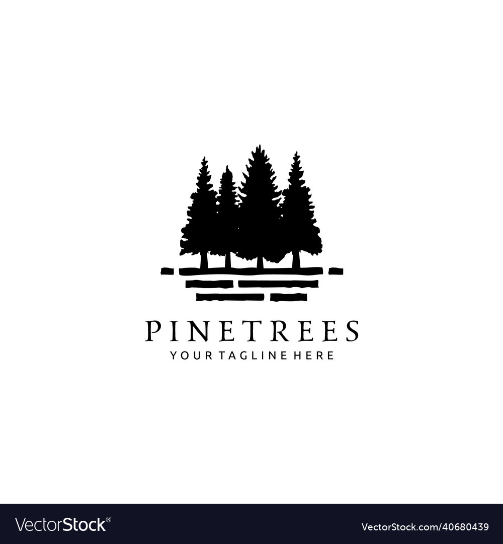 Pine evergreen fir tree forest logo design Vector Image