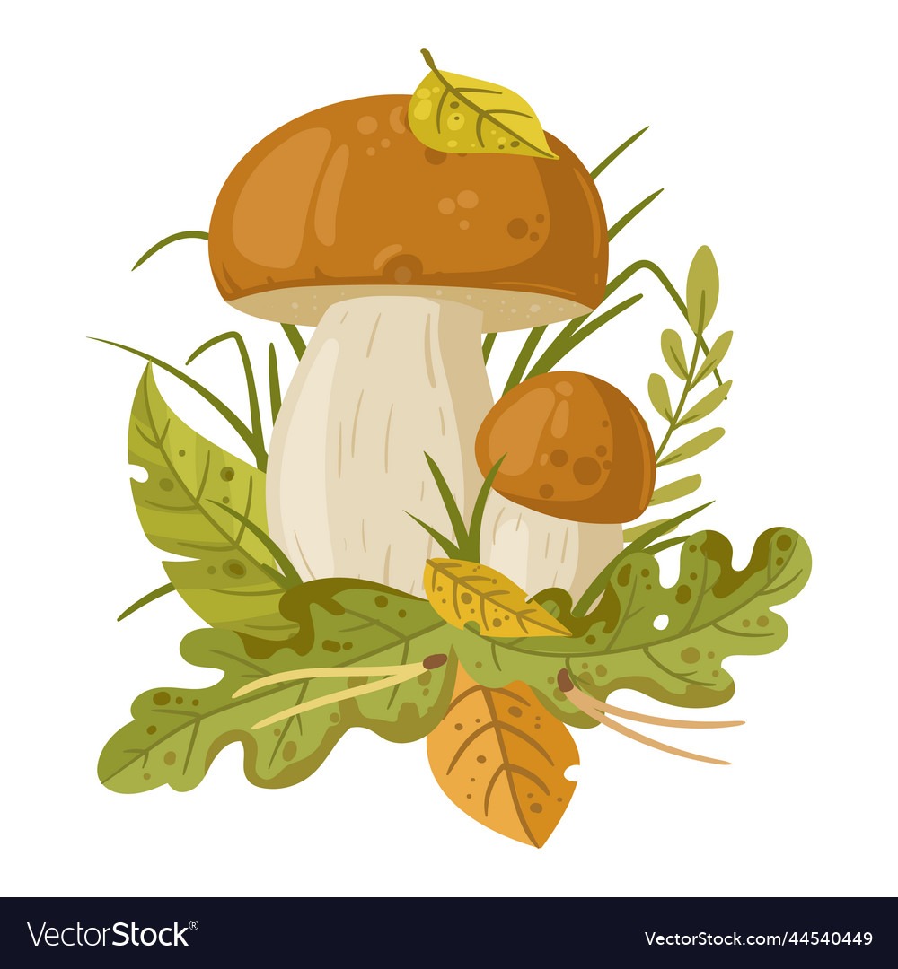 Cartoon mushroom edible forest mushroom Royalty Free Vector