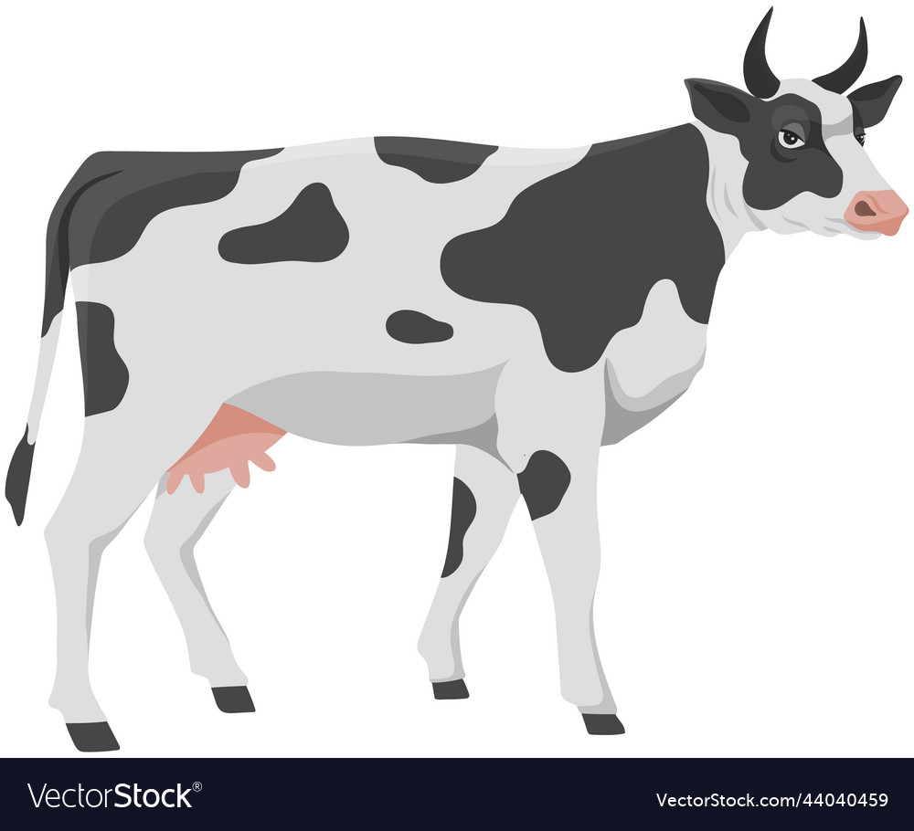 Spotted cow domestic farm animal for meat Vector Image