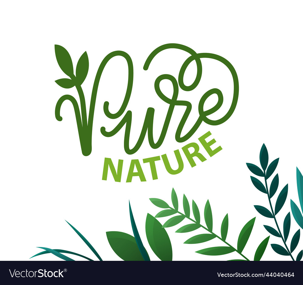 Environmental protection care for nature pure Vector Image