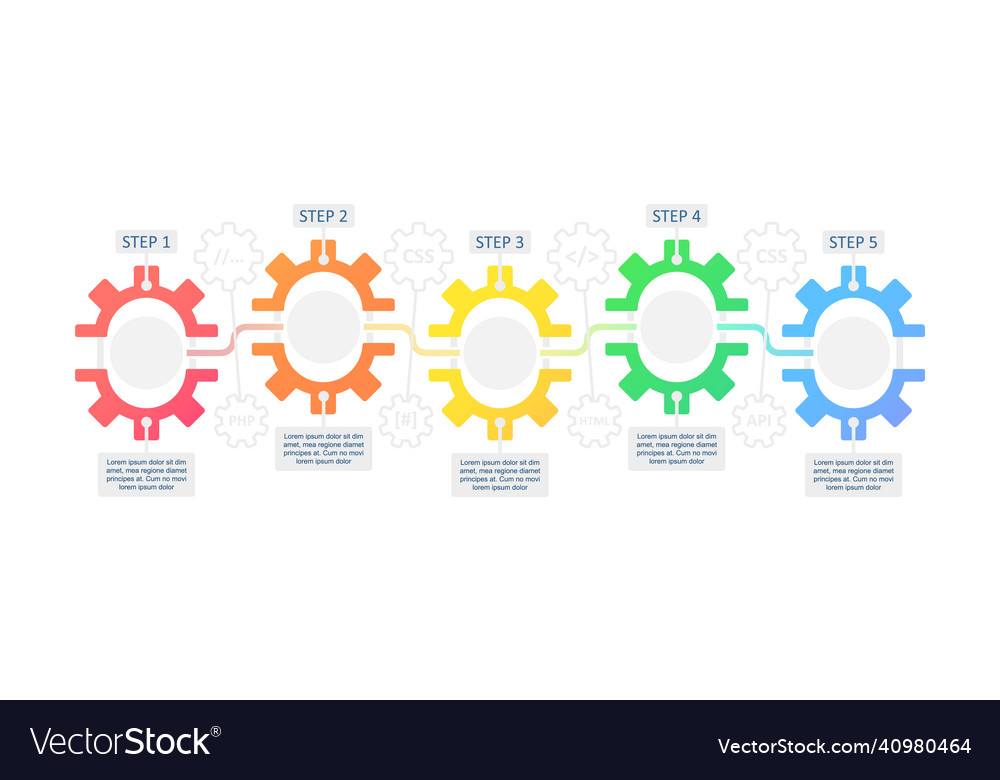 Web development infographic chart design template Vector Image