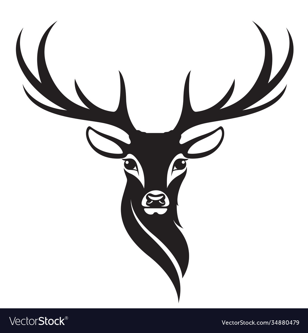 Deer head on white background Royalty Free Vector Image