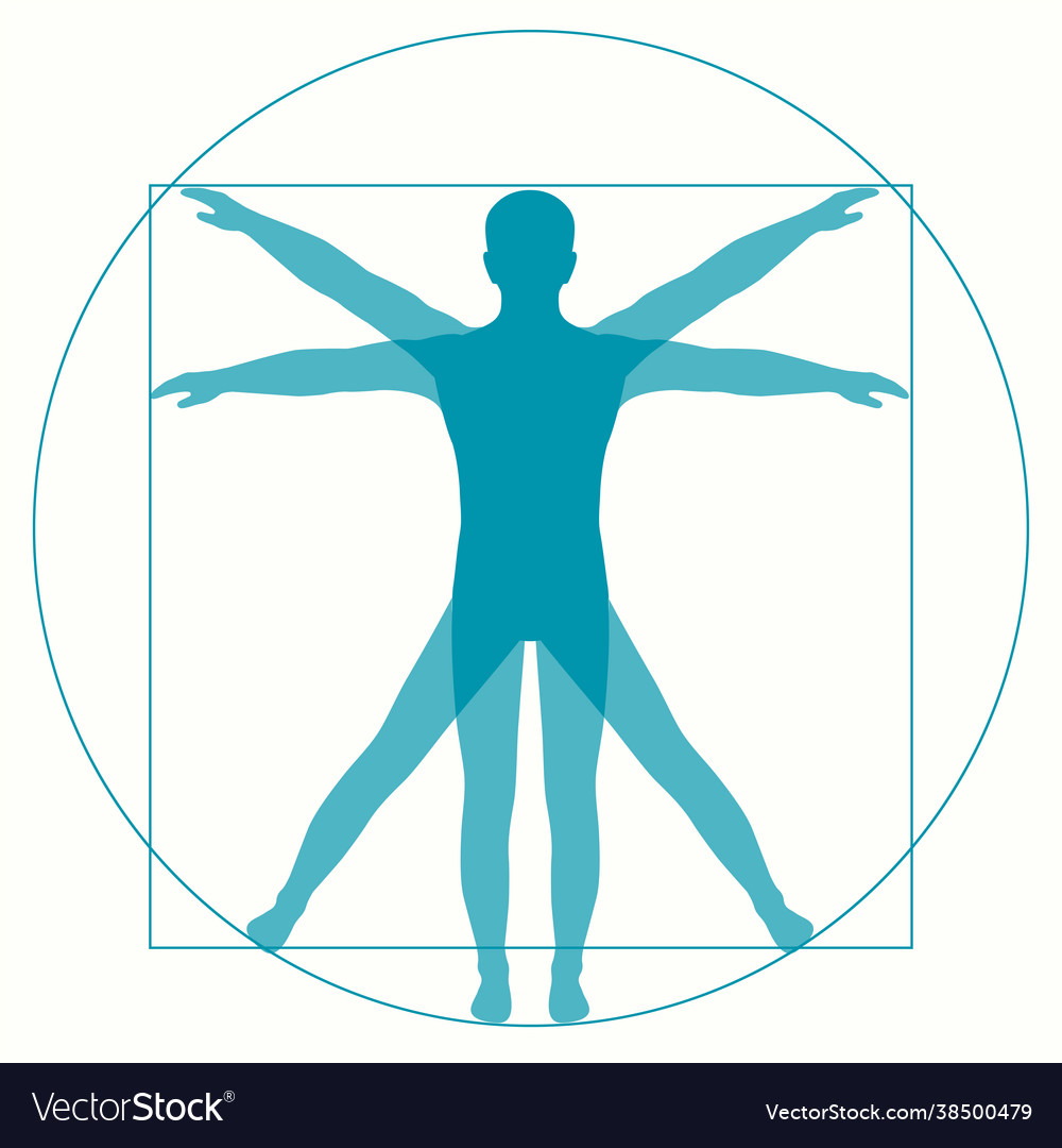 Vetruvian man Royalty Free Vector Image - VectorStock