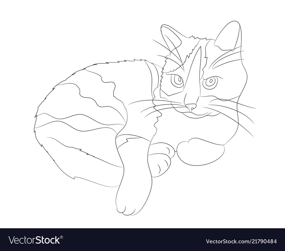 Cat lines Royalty Free Vector Image - VectorStock