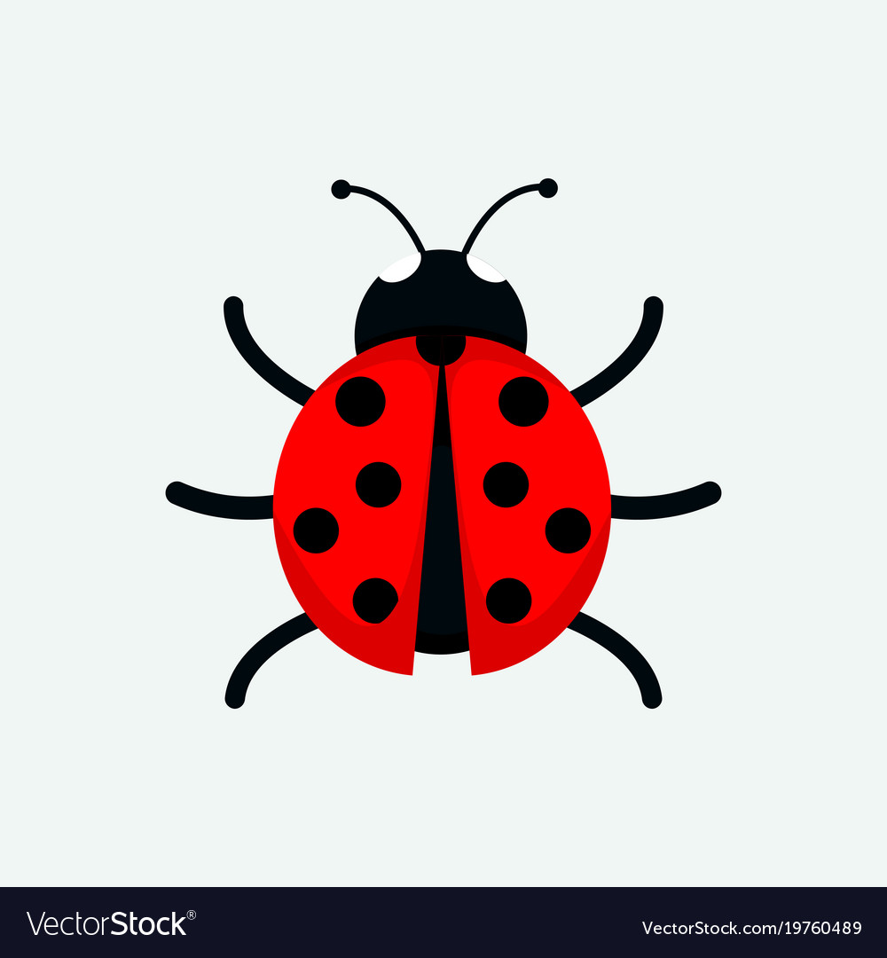 How To Draw A Ladybug