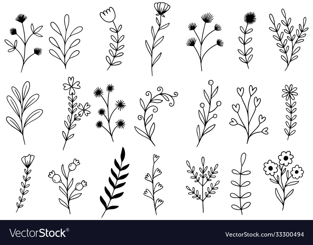 Hand drawn flowers doodle Royalty Free Vector Image