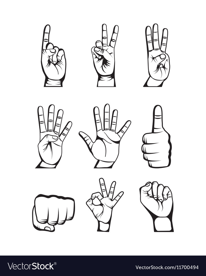 Human hand design Royalty Free Vector Image - VectorStock