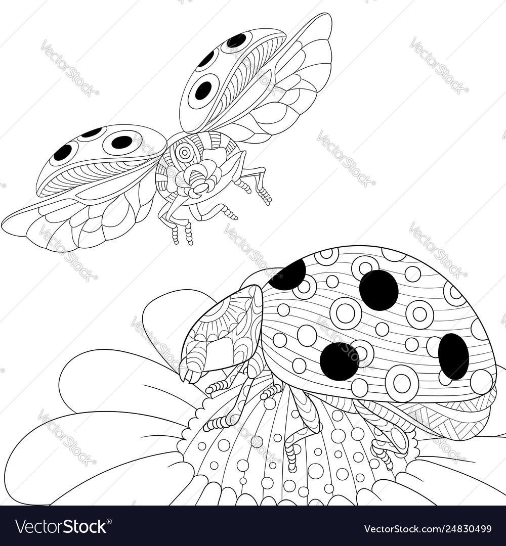 Premium Vector  Spring ladybug isolated coloring page for kids