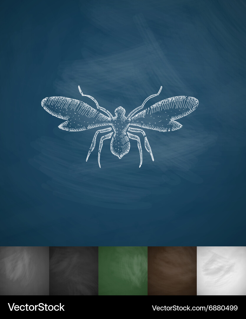 Midge icon hand drawn Royalty Free Vector Image
