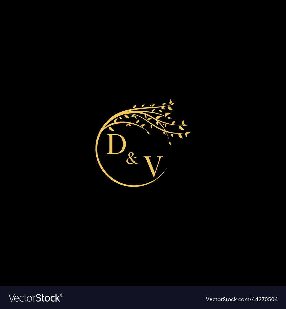 Dv nature theme logo initial concept with high Vector Image