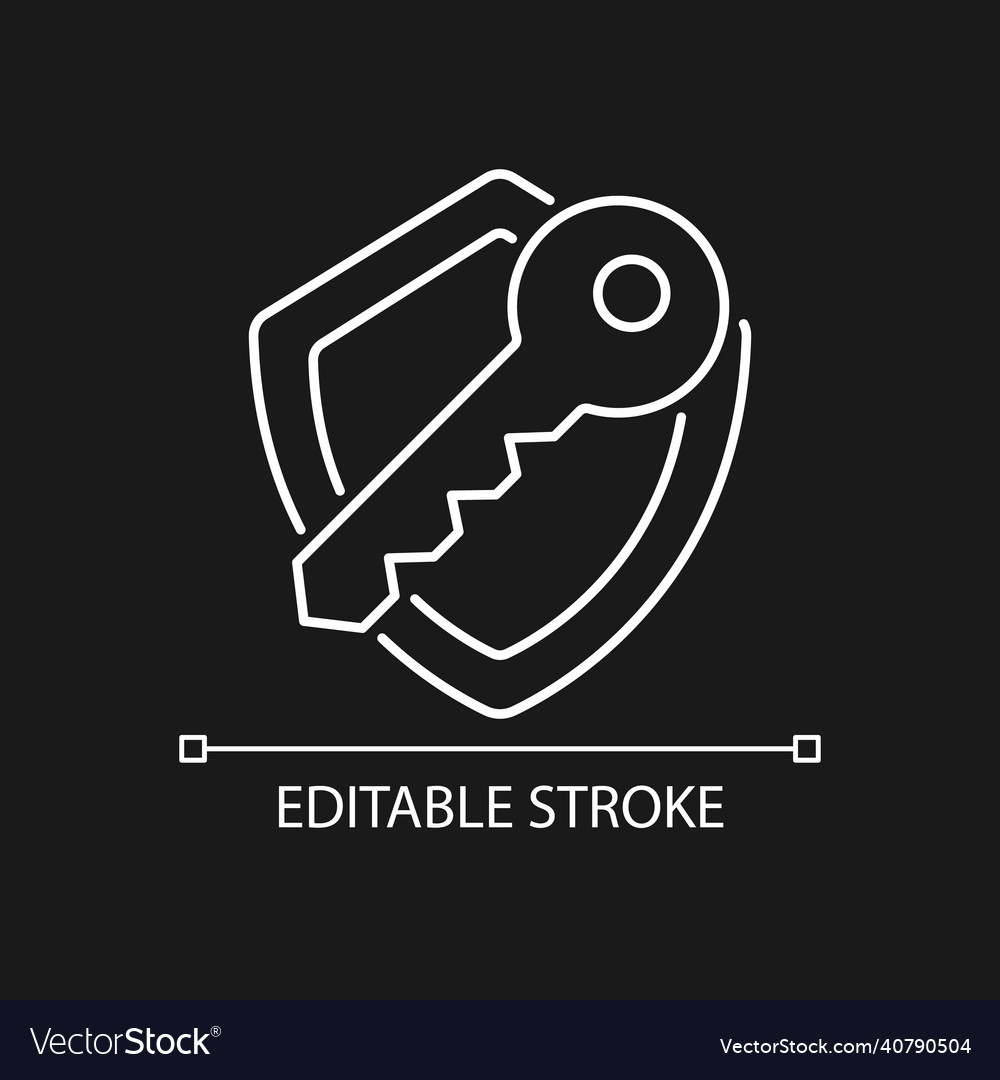 Encryption key white linear icon for dark theme Vector Image