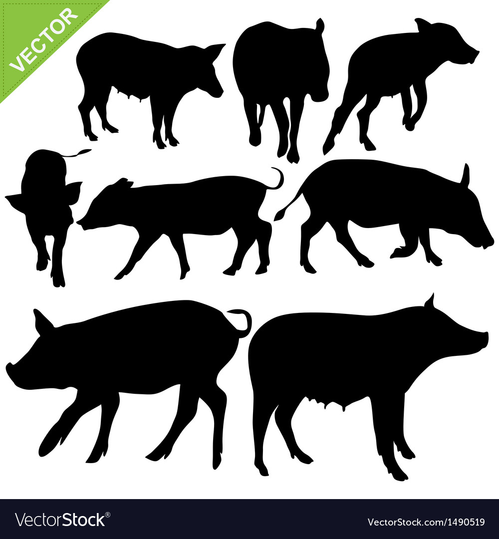 Download Pig silhouettes Royalty Free Vector Image - VectorStock