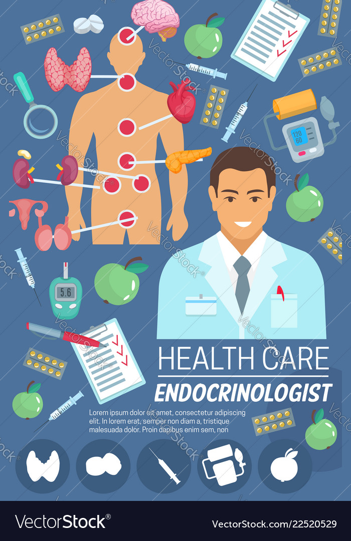 Endocrinologist Doctor With Endocrine System Organ
