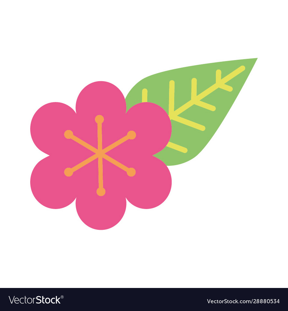 Beautiful flower with leaf garden Royalty Free Vector Image