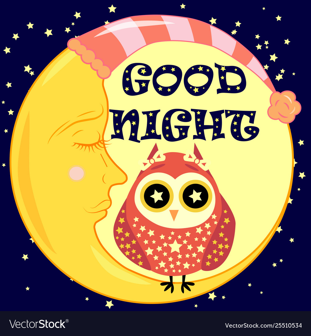 Good night card with sleeping moon and cute owl Vector Image