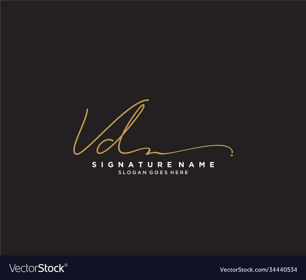 Letter vd signature logo template Royalty Free Vector Image