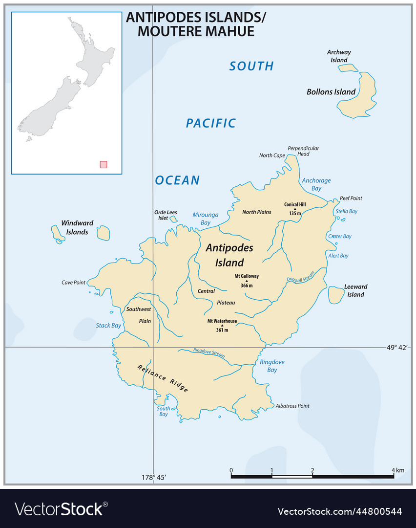 Map of the new zealand offshore island antipodes Vector Image