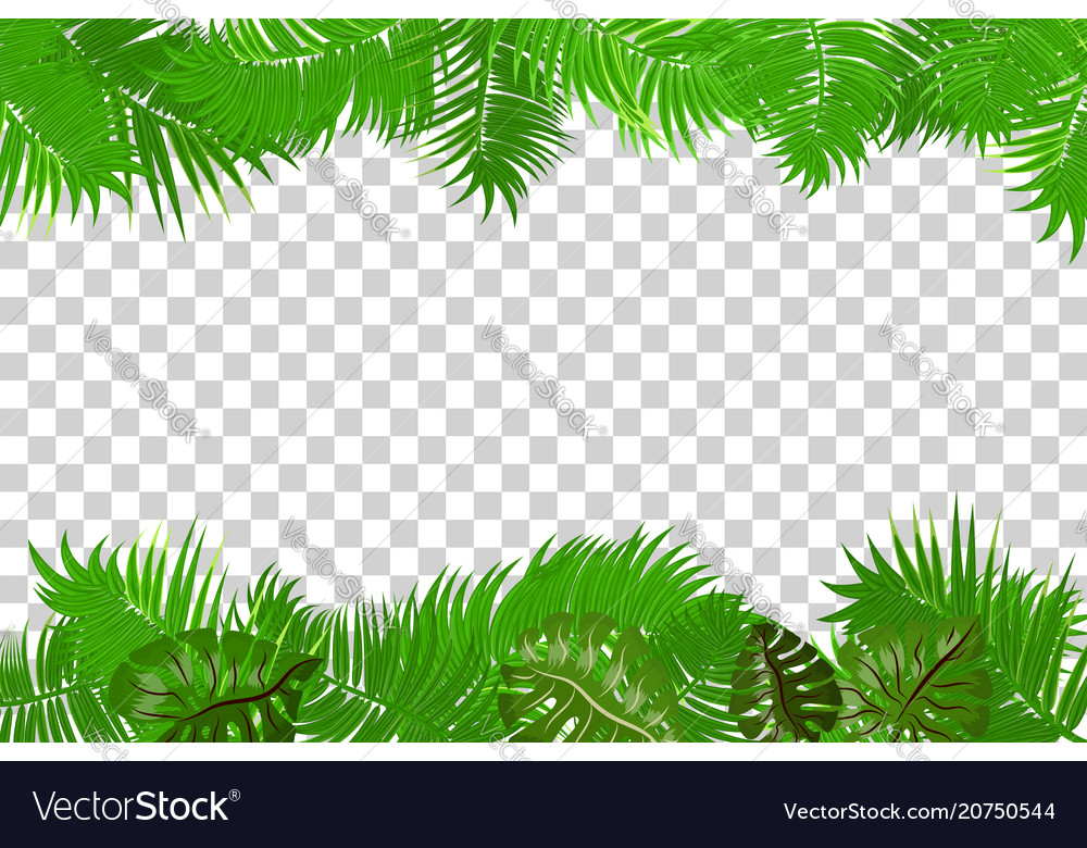 Summer jungle palm leaf frame