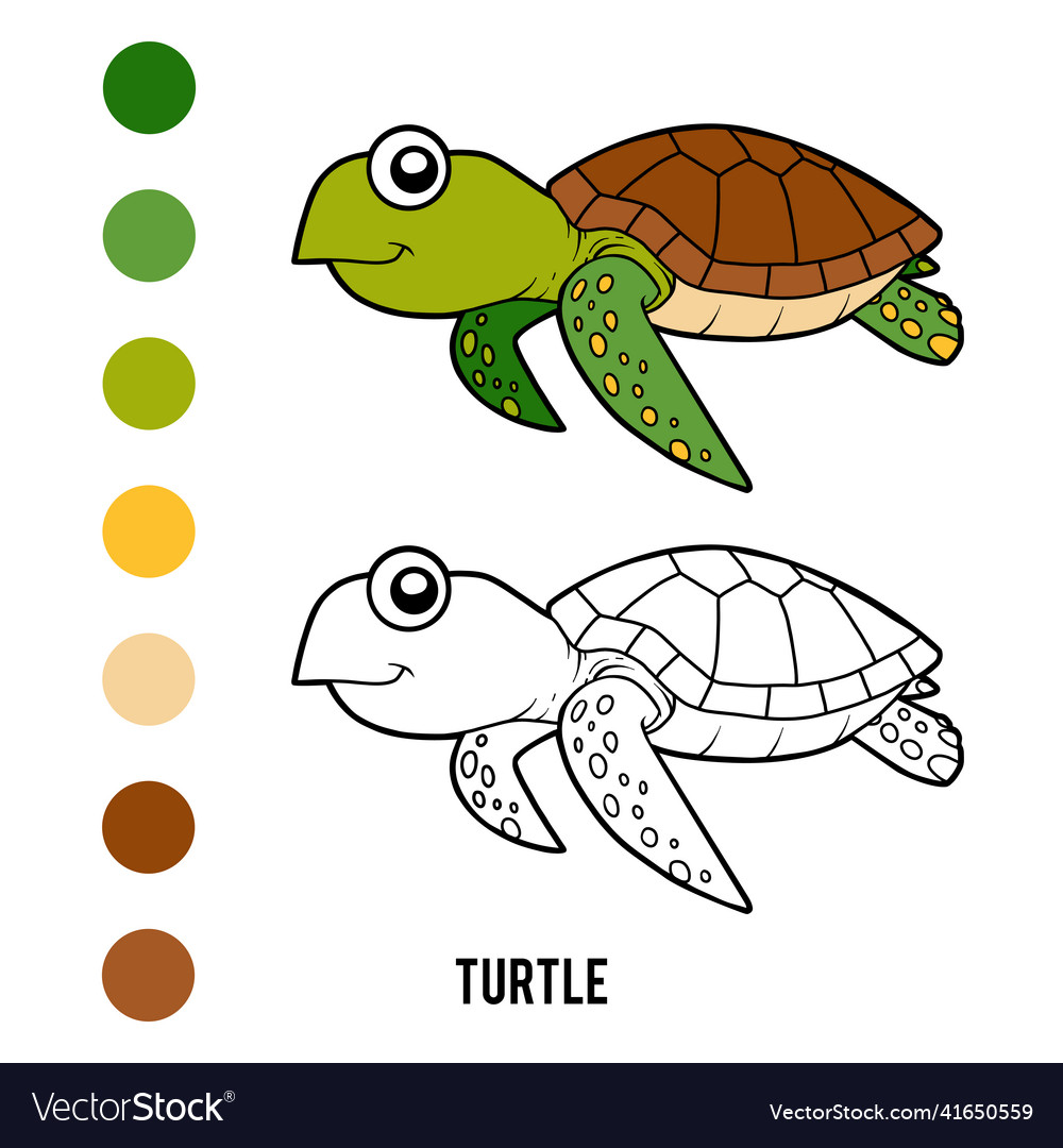 Coloring book turtle Royalty Free Vector Image