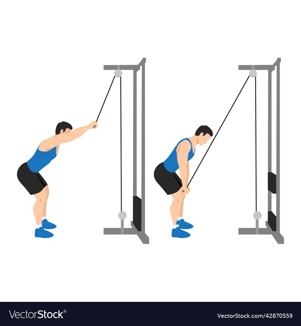 Man doing straight arm lat pulldown exercise Vector Image