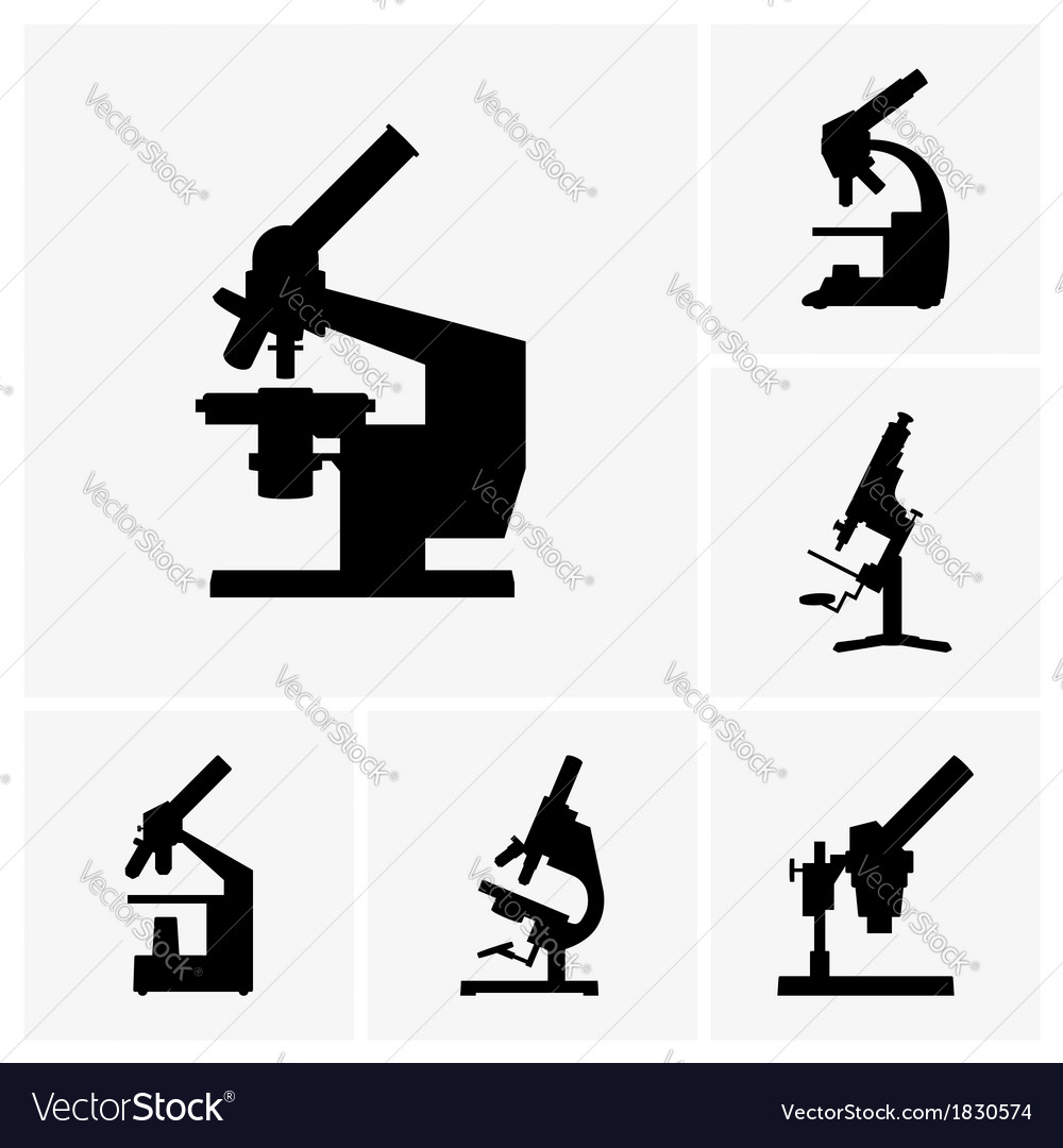 Microscope