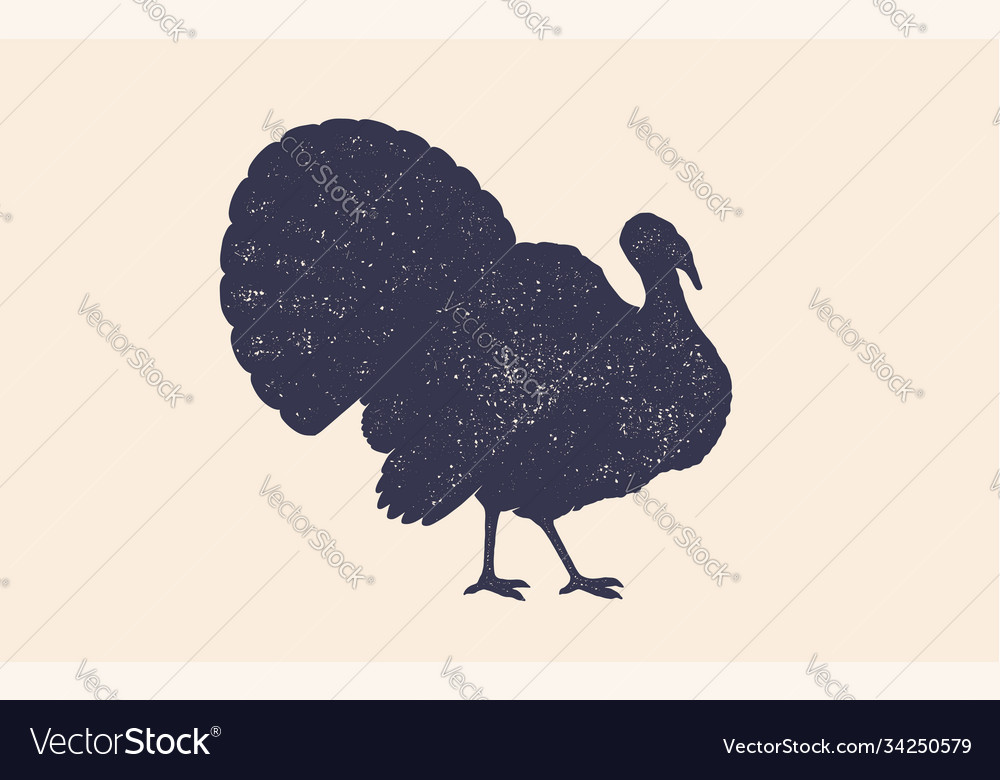 Turkey vintage retro print vector image Turkey vintage retro print