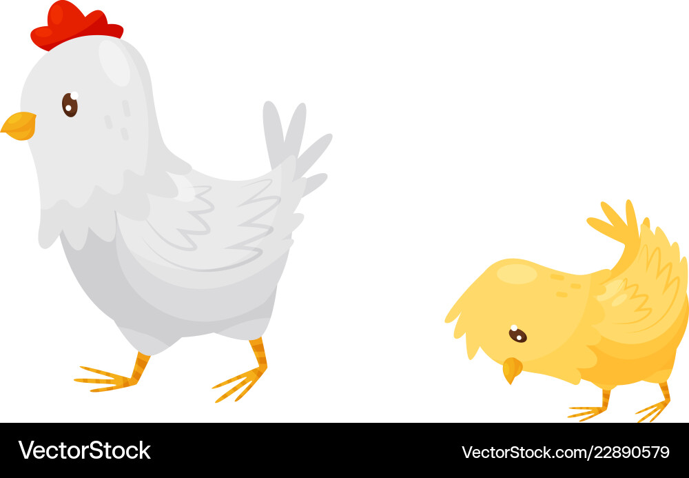 white hen walking with little yellow chick vector image vectorstock