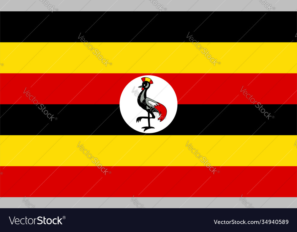 Close up flag uganda Royalty Free Vector Image