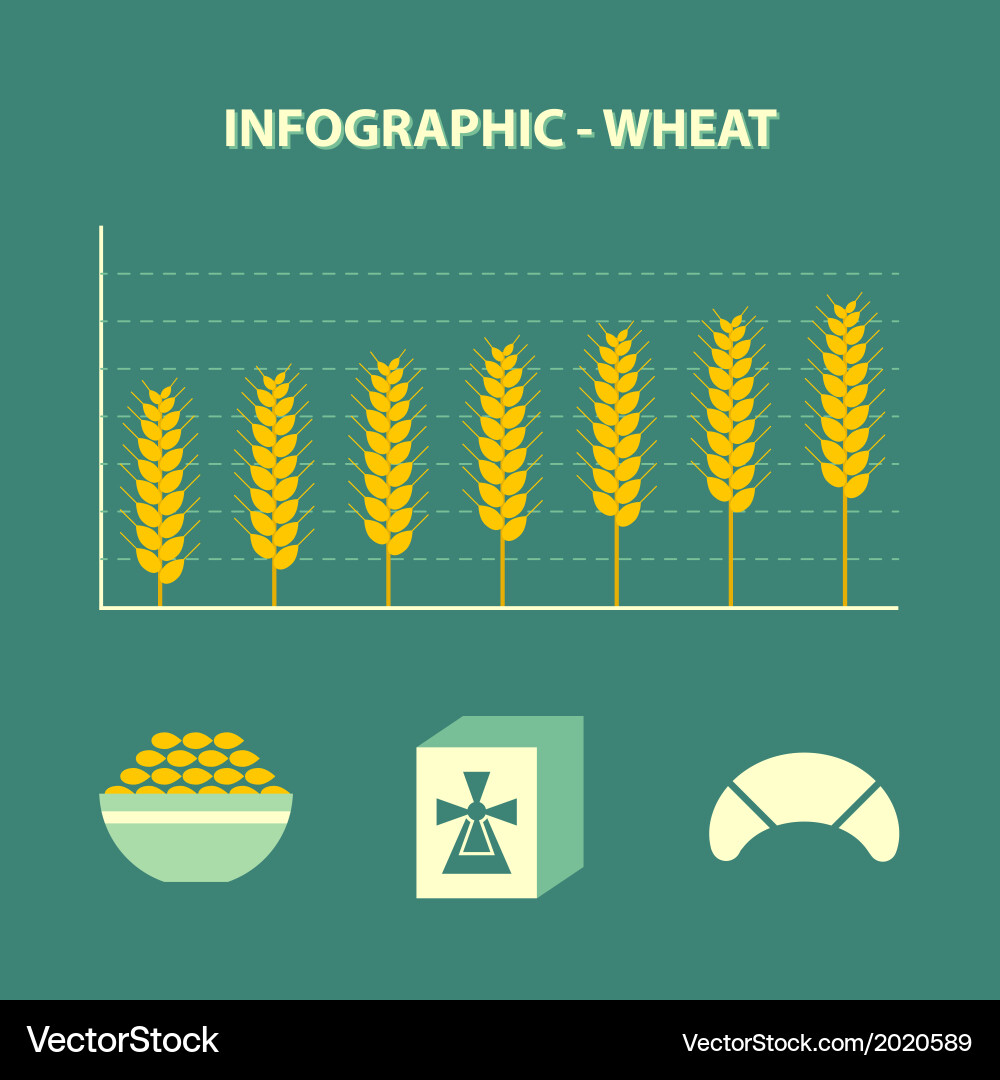Increase wheat prices Royalty Free Vector Image