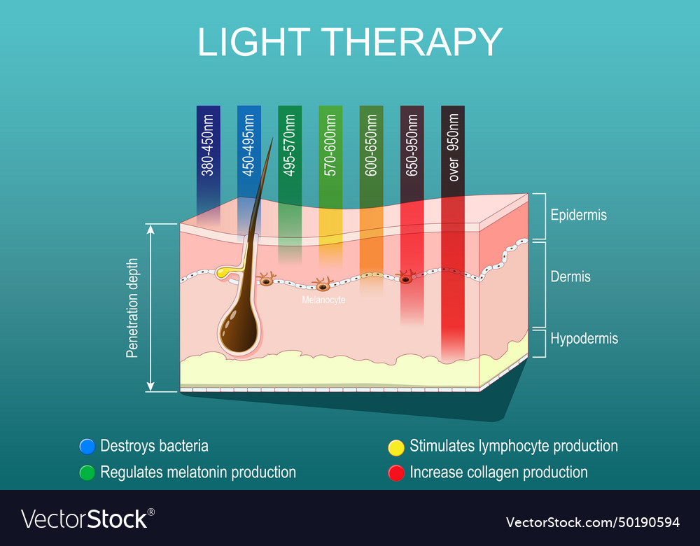 Light therapy phototherapy or laser Royalty Free Vector