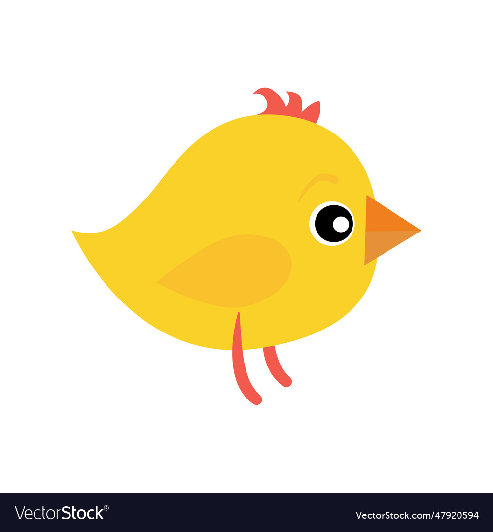 Spring chicken yellow bird cartoon animal Vector Image