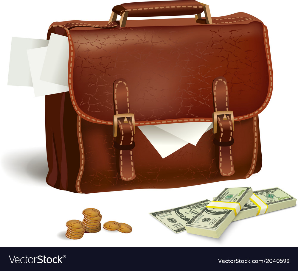 Leather briefcase with documents and money