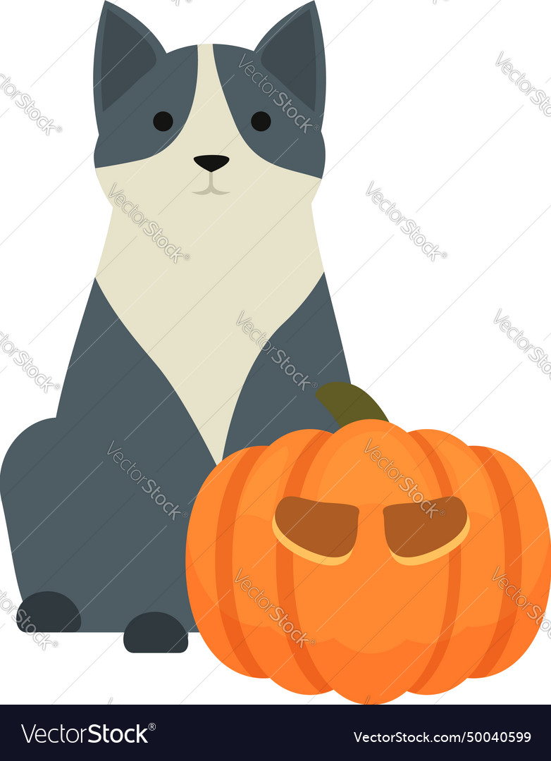 Pumpkin party icon cartoon kitty treat Royalty Free Vector