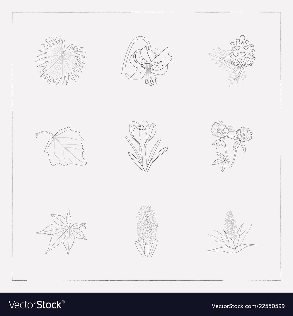 Set of botany icons line style symbols with fir Vector Image