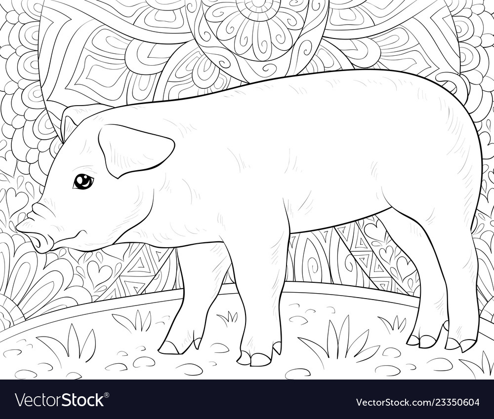 Adult coloring bookpage a cute pig Royalty Free Vector Image