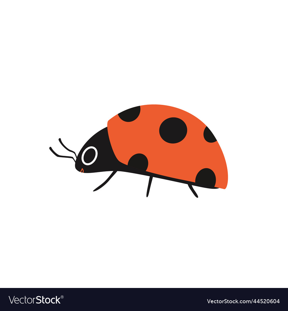 Cartoon ladybug with eyes on the side cute insect Vector Image