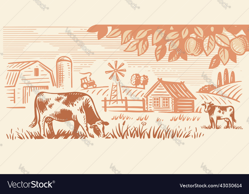 Village and landscape cows on farm meadow Vector Image