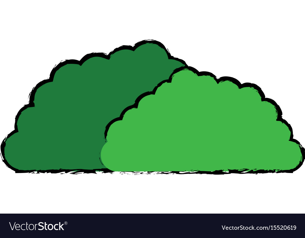 Bush Foliage Botanic Nature Environment Image Vector Image