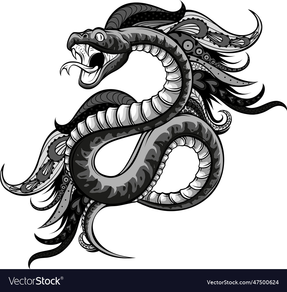 Monochromatic of viper snake Royalty Free Vector Image