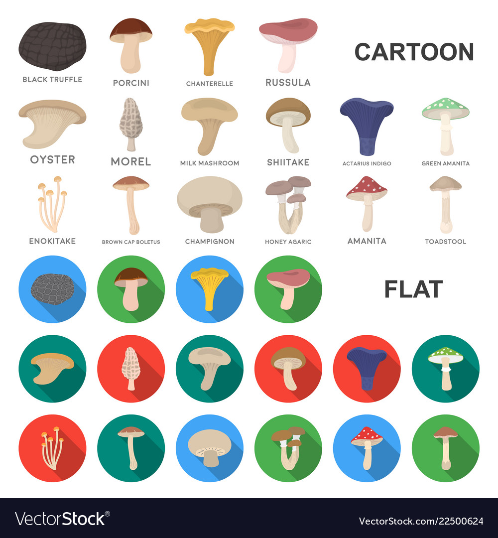 Poisonous and edible mushroom cartoon icons in set