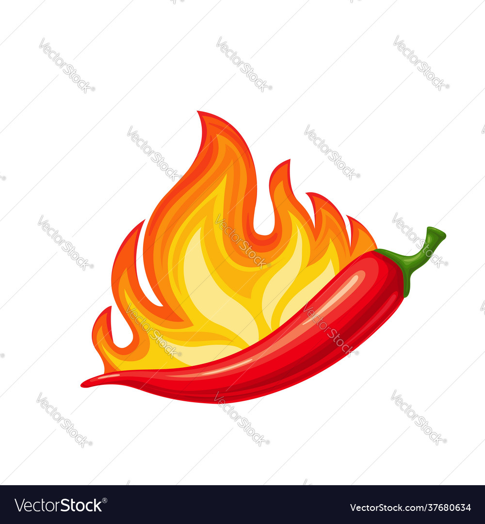 Chilli peppers with fire Royalty Free Vector Image