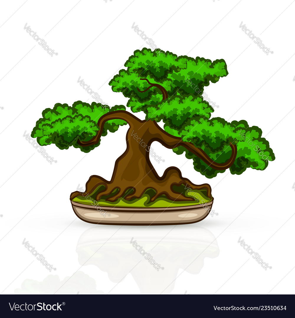 Isolated banzai tree Royalty Free Vector Image