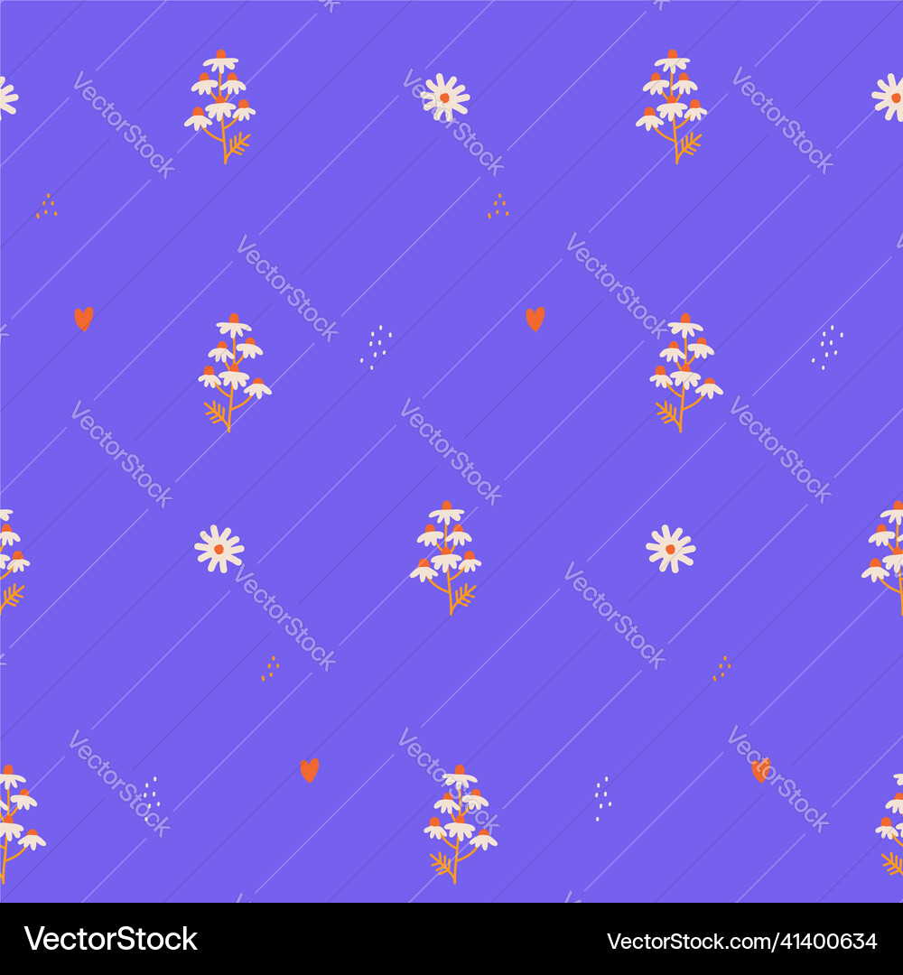 Seamless pattern with daisy flowers pretty Vector Image