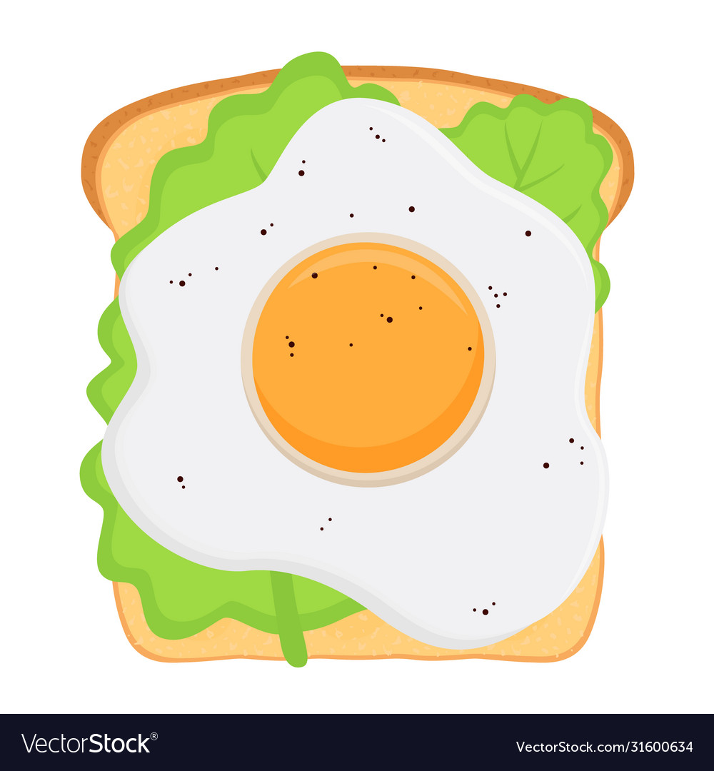 Traditional breakfast - sandwich with fried Vector Image